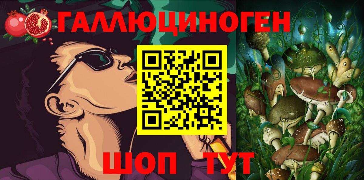 Псилоцибиновые грибы MAGIC MUSHROOMS  Вход с VPN  Советск 